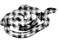 ANML0634.jpg