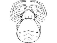 ANML0023.jpg