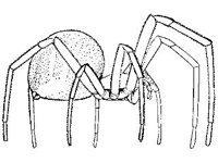 ANML0022.jpg