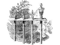 ANML0021.jpg
