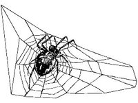 ANML0019.jpg