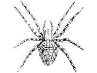 ANML0016.jpg