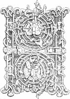 GRAY1121.jpg