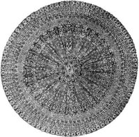 GRAY0481.jpg