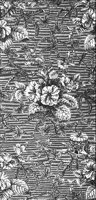 GRAY0477.jpg