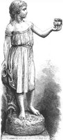 GRAY0342.jpg