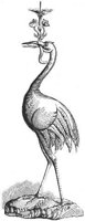 GRAY0329.jpg