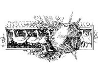 ALCHL023.jpg