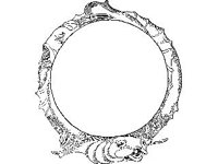 BORDR105.jpg