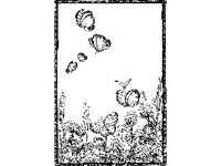 BORDR095.jpg