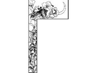 BORDR088.jpg