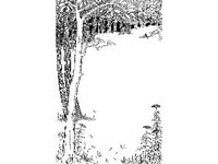 BORDR191.jpg