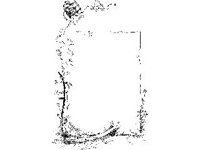 BORDR351.jpg