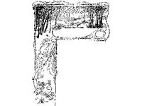 BORDR397.jpg
