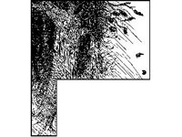 BORDR390.jpg
