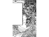 BORDR383.jpg
