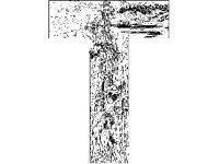 BORDR373.jpg