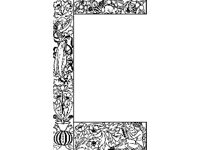 BORDR675.jpg