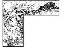 BORDR649.jpg