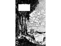 BORDR642.jpg