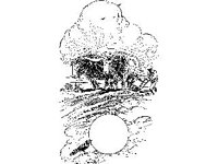 BORDR640.jpg