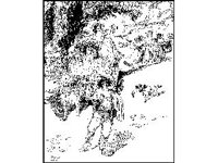 BORDR627.jpg