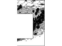 BORDR579.jpg