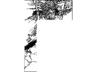 BORDR570.jpg
