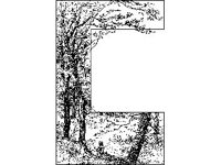 BORDR564.jpg