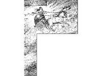 BORDR520.jpg