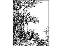 BORDR489.jpg