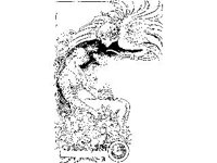 BORDR477.jpg