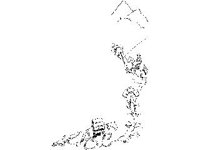 BORDR444.jpg