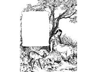 BORDR429.jpg