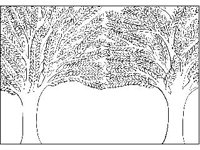BORDR819.jpg