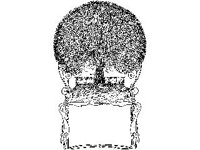 BORDR806.jpg
