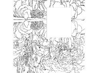 BORDR801.jpg