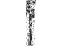 DSGN1730.jpg