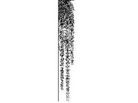 DSGN1728.jpg