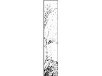 DSGN1720.jpg