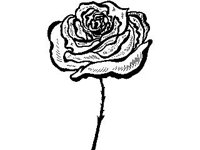 DSGN1711.jpg