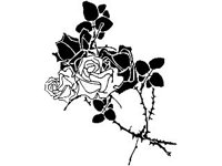 DSGN1708.jpg