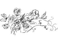 DSGN1683.jpg