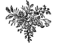 DSGN1678.jpg