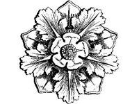 DSGN1668.jpg