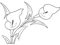 DSGN1660.jpg