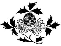 DSGN1658.jpg