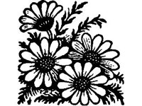 DSGN1644.jpg