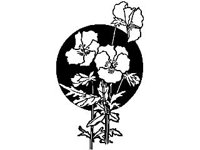 DSGN1635.jpg