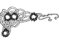 DSGN1629.jpg